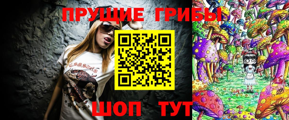 Псилоцибиновые грибы MAGIC MUSHROOMS  Вход с VPN  Псилоцибиновые грибы прущие грибы  Саров 